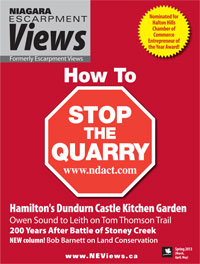 NEV2013-01-cover-curr