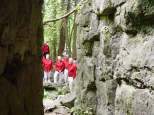GCS crevice comp