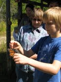 kid monarch