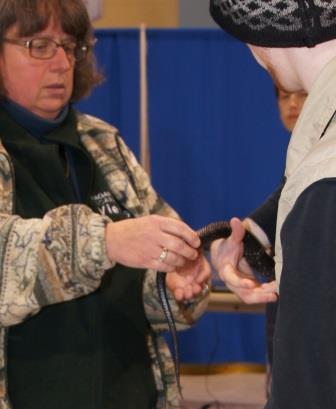 The photos of holding this snake look much creepier than it felt.