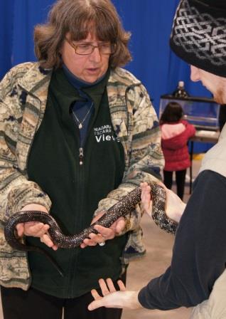 Hands full of snake. A first for me.