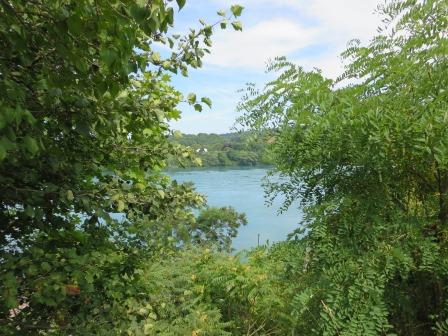 View of Niagara River from St. Saviours.
