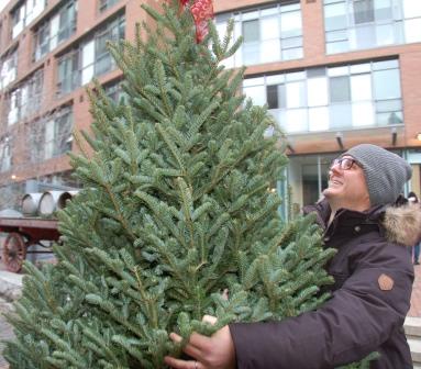 Pick the best of real Christmas trees. Photo by Forests Ontario